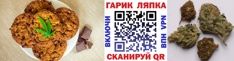 ссылка на мегу онион  Новохопёрск  Еда ТГК конопля 