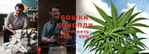 СК Касимов