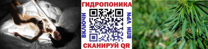 Бошки марихуана VHQ  Новохопёрск 